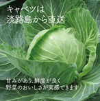 レモン餃子　シチリア岩塩付き