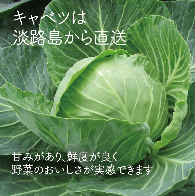 レモン餃子　シチリア岩塩付き