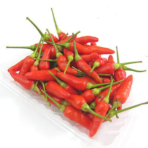 沖縄島野菜種子約30粒「島とうがらし」 | wakabaseed