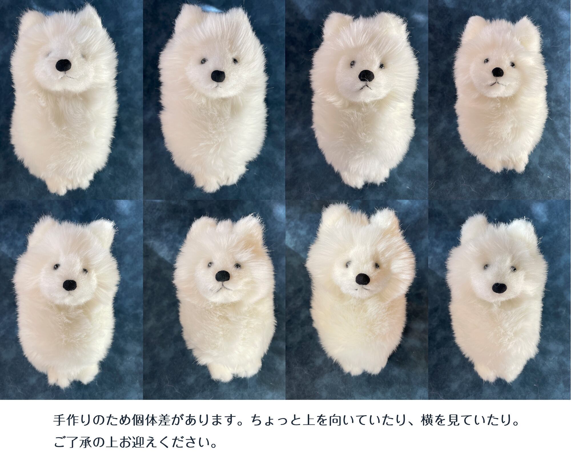 サモエドわんこ | もふいぬ