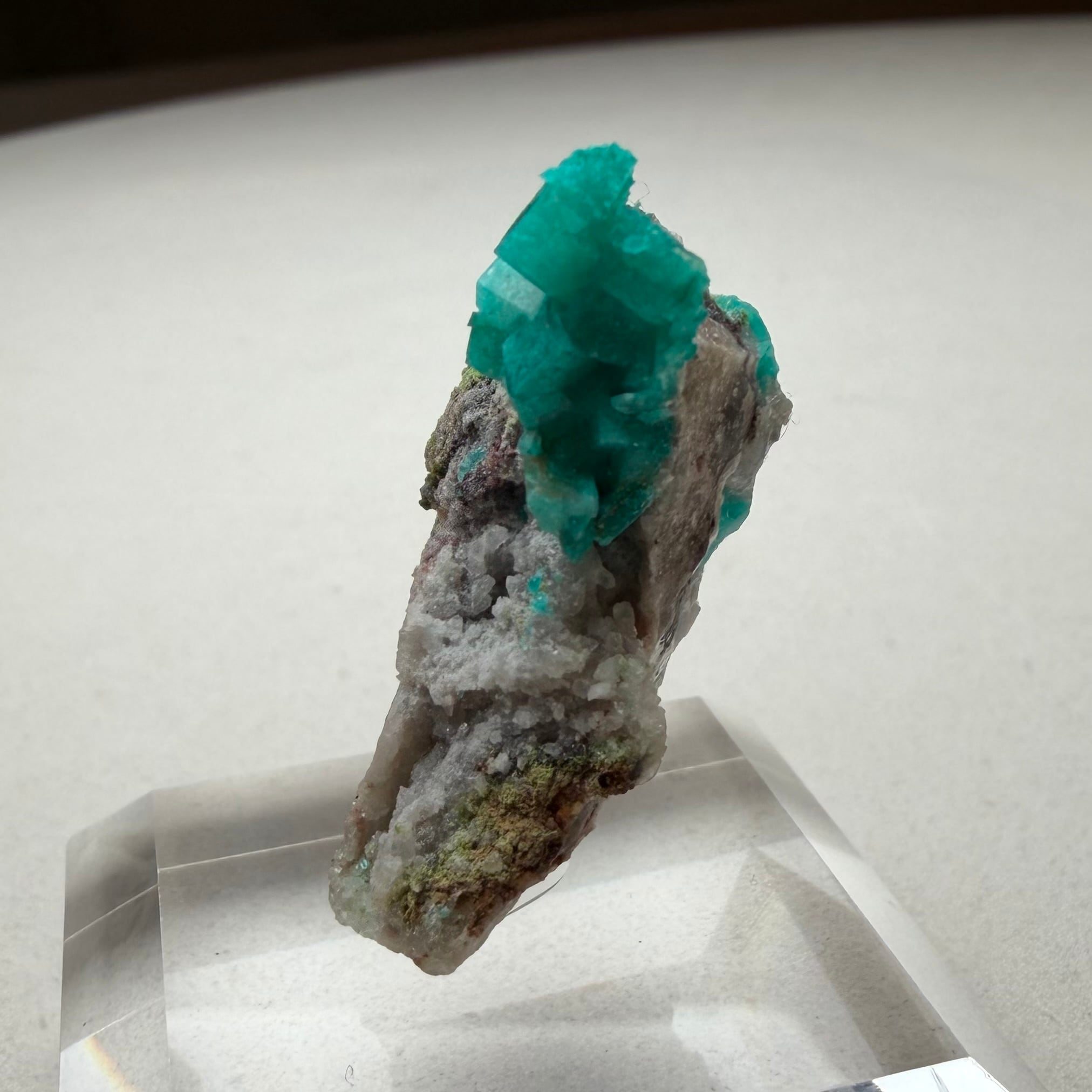 ダイオプテーズ / ダフタイト / カルサイト【Dioptase in Calcite with