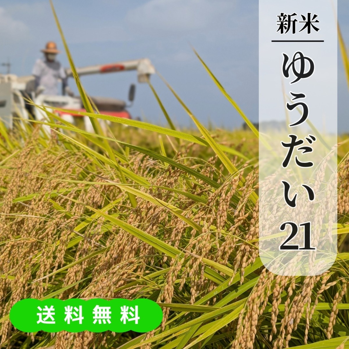 af8a38d2e7ad105ec5ec8070465429 