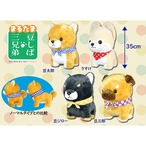 まるたま豆しば三兄弟BIGぬいぐるみ 豆ジロー(7446775)