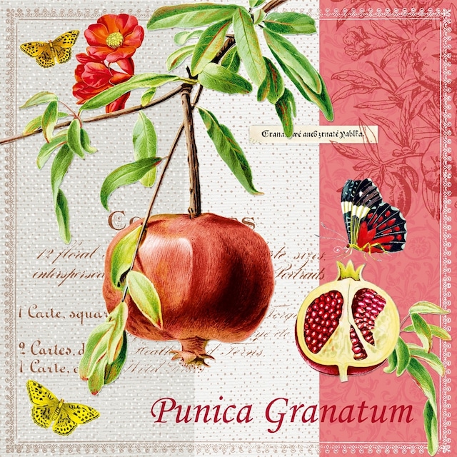 【Nouveau】バラ売り1枚 ランチサイズ ペーパーナプキン PUNICA GRANATUM レッド