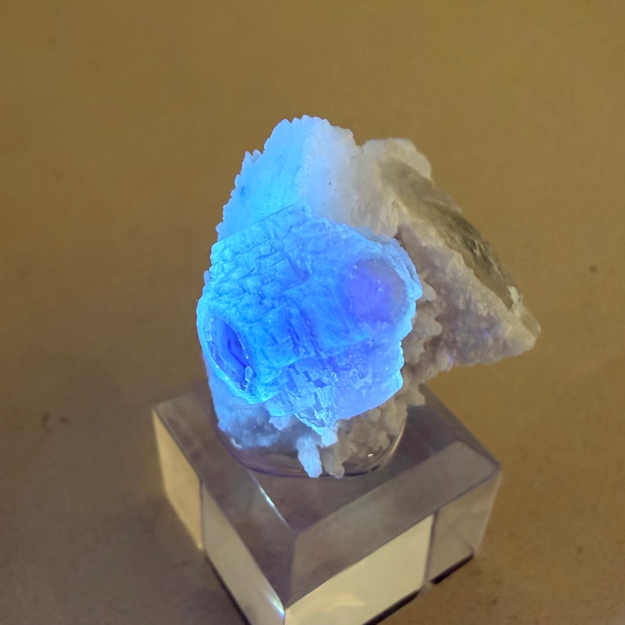 フローライト / クォーツ【Fluorite on Quartz】中国産 | PEANUTS MINERALS