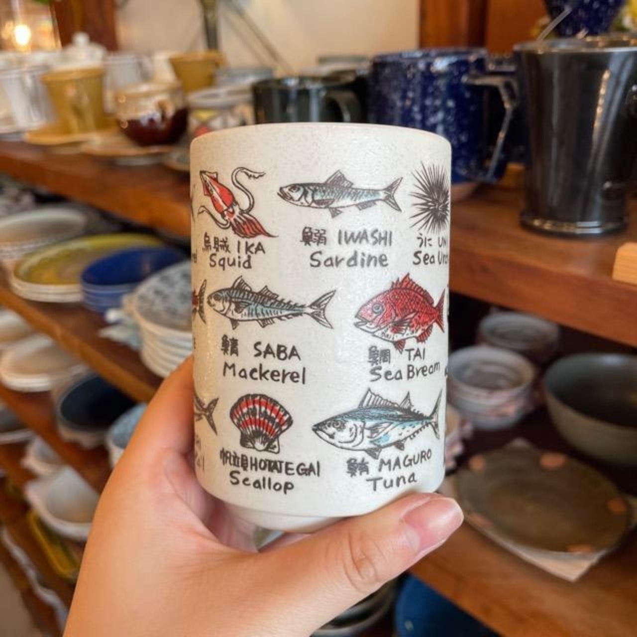 ものしり湯呑　魚英語 / 美濃焼　湯呑　置物　コップ　魚　寿司　日本　ギフト　プレゼント　かわいい　sushi　fish　cup