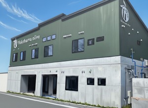 横浜オリーブ Primo Verde エクストラ バージン オリーブ オイル 150ml