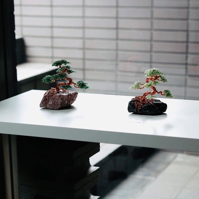 -coming soon- ツチンナカキ【Wirebonsai】Ssize
