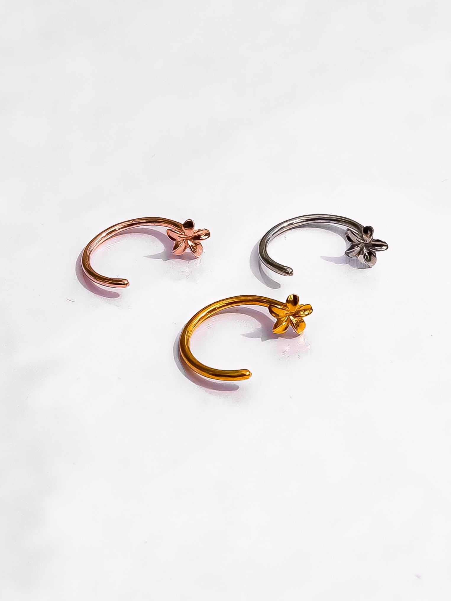 plumeria through pierce