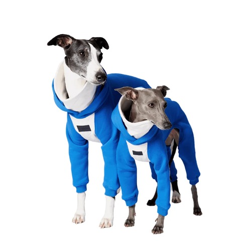 BONDIR Elecrique Hooded Onesie for Sighthound XS-M