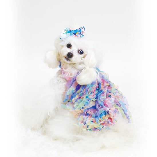 jibun-fuku DOG 【ドレス】DOGDR2018167