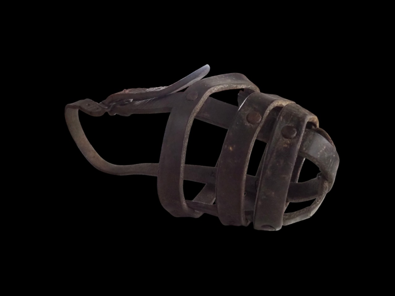 muselière pour chien