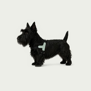 【予約】[ GOPE ] Picture Dog Harness｜Mint × Black