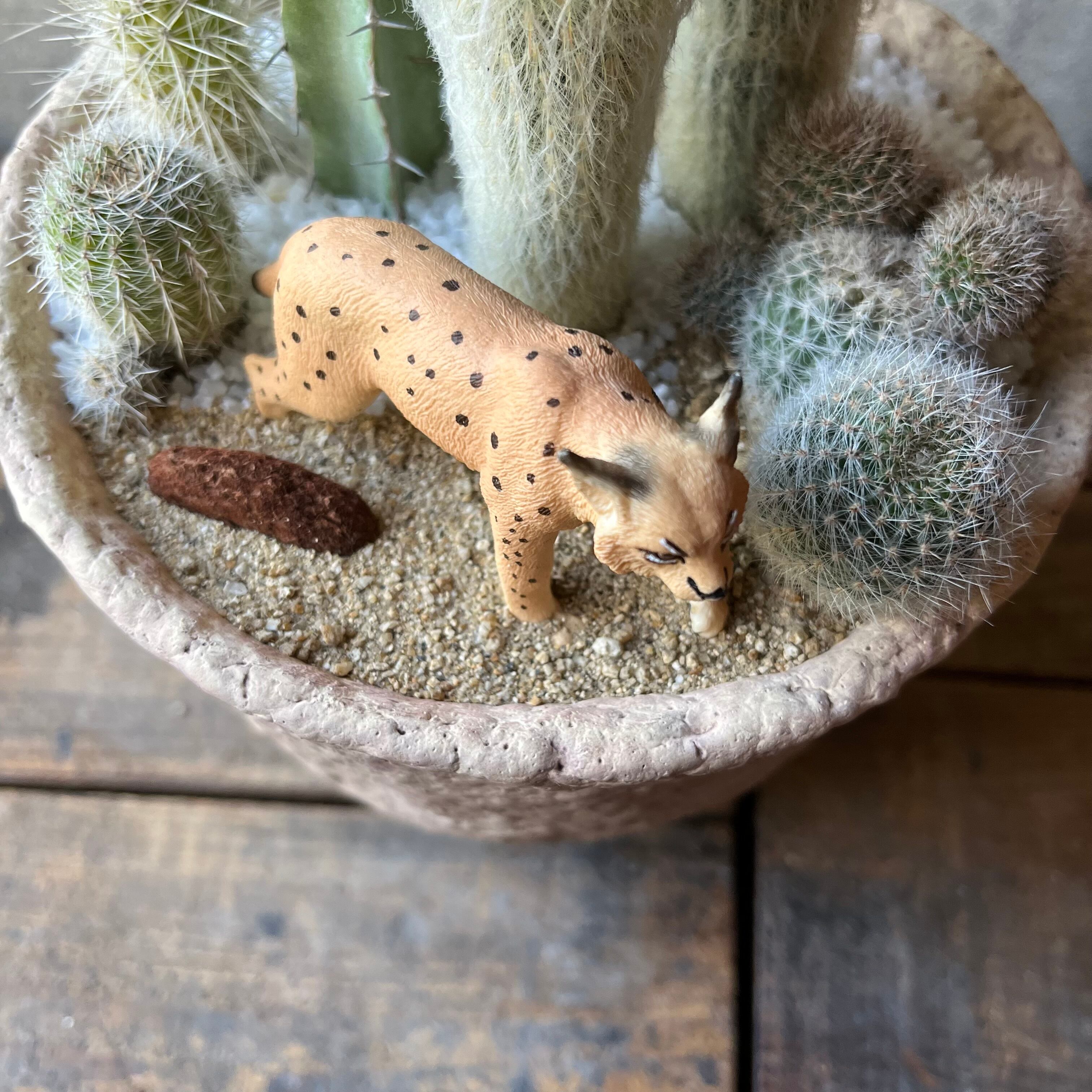 MAPPON REED オクタリアン　5本セット MAPPON REED オクタリアン 5本セット Folden-Lane-227-group_v1-