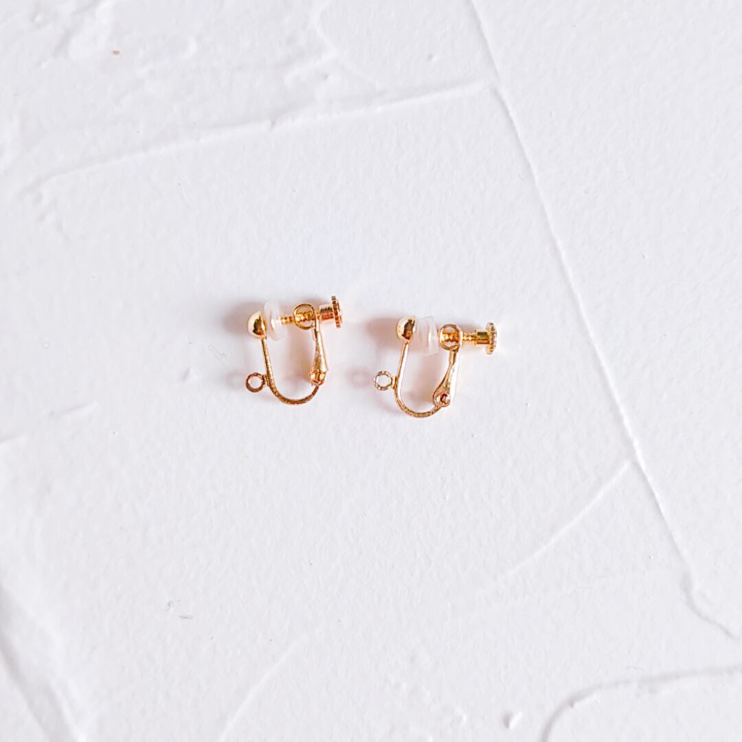 【パンプキン】earring ☽