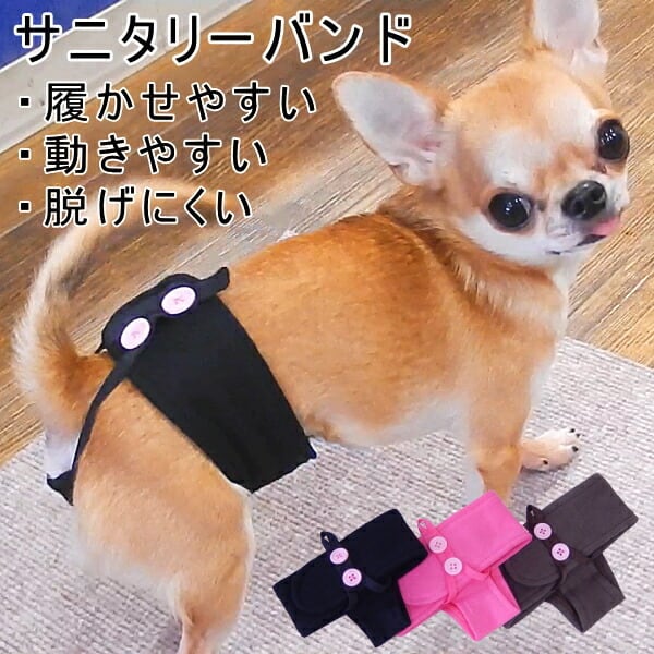 スキップドッグ! サニタリー バンド プレーン 無地 犬 小型犬 パンツ