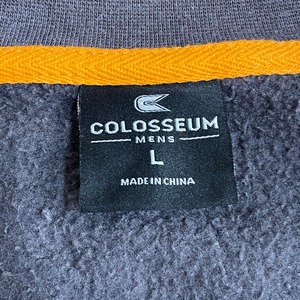 【COLOSSEUM】ワンポイントロゴ 刺繍ロゴ ハーフジップ スウェット プルオーバー ポケット付き L US古着