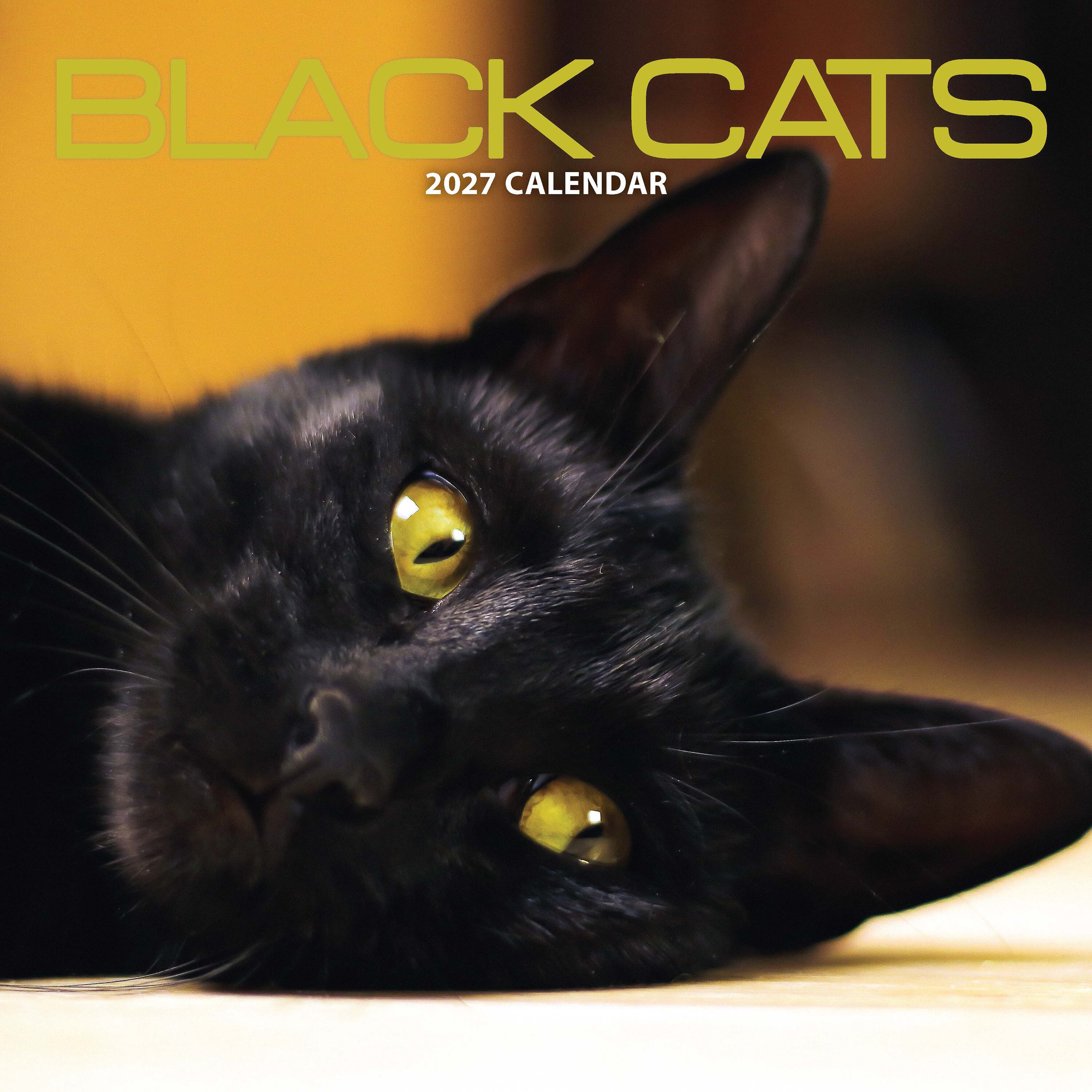 【2027年版】英国製カレンダー【ブラック・キャット】 2027年版