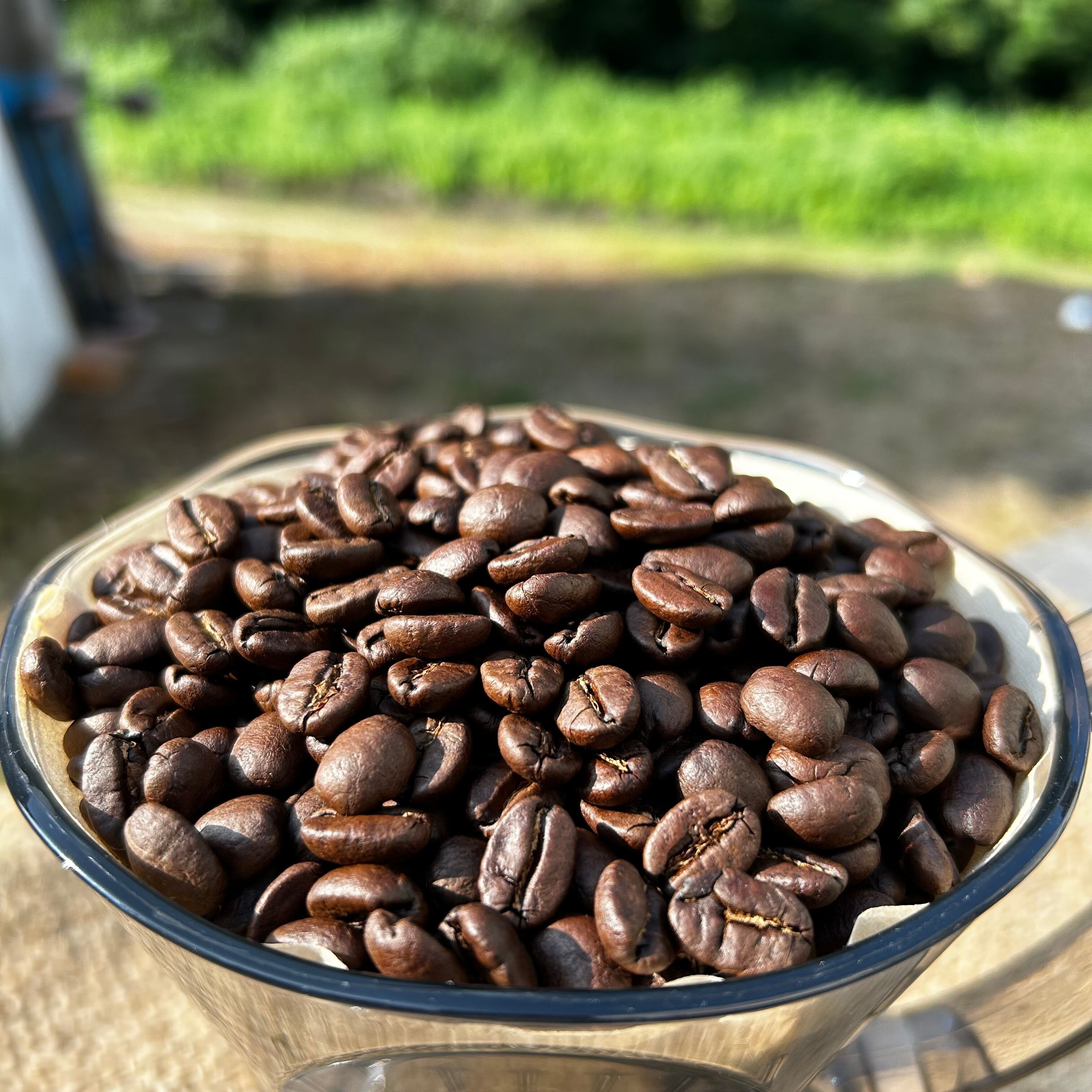 【ケニア】マサイAA ［600g］中深煎り　自家焙煎珈琲