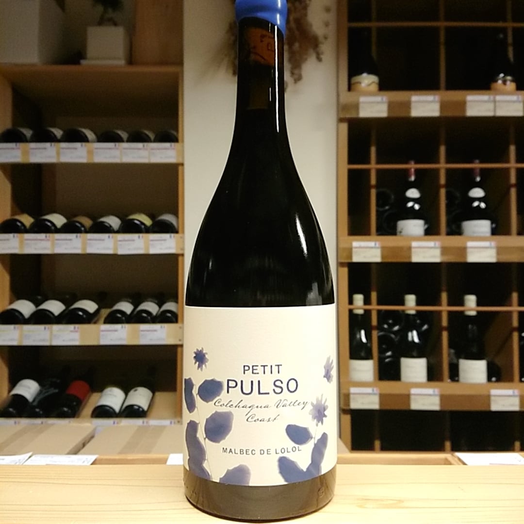 ﾌﾟﾙｿ2014 / ﾋﾒﾅ・ﾊﾟﾁｪｺ（赤ワイン） | SAKE&WINE KAWASHIMA