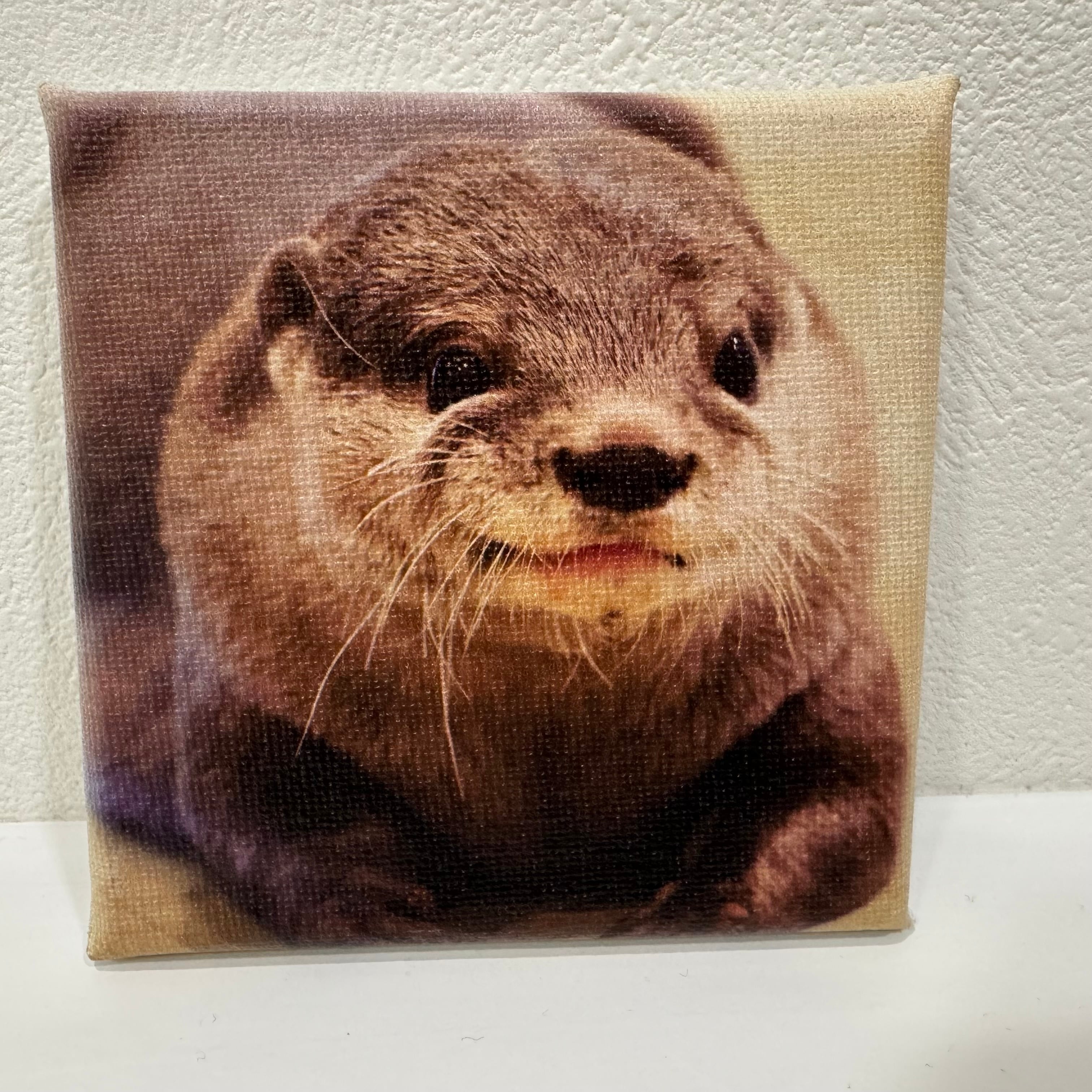 LOUTRE〜カワウソと過ごす時間〜