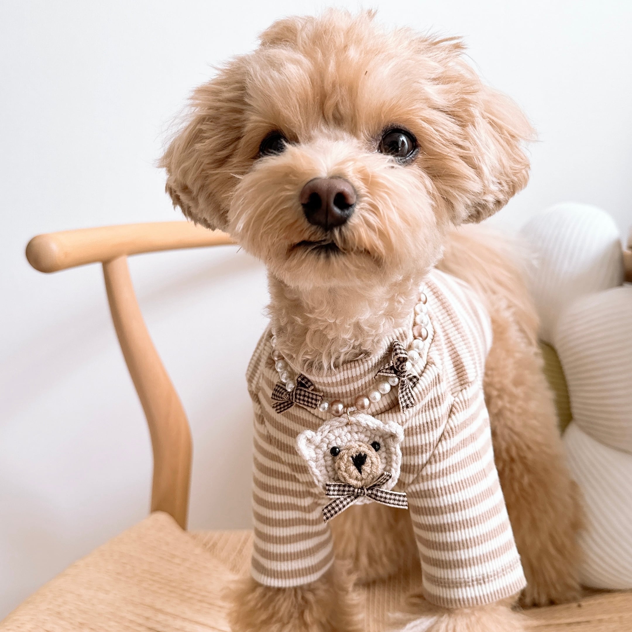 流体アート 4体セットで！くまさんとネズミさんモチーフ 流体アート 4体セットで！くまさんとネズミさんモチーフ 【公式通販】