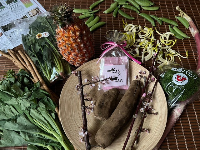 【完売御礼】ベジバルーンセット4月（卯月）『草花咲き誇り春いろ野菜たち』※写真は3月に出荷したベジバルーンです。