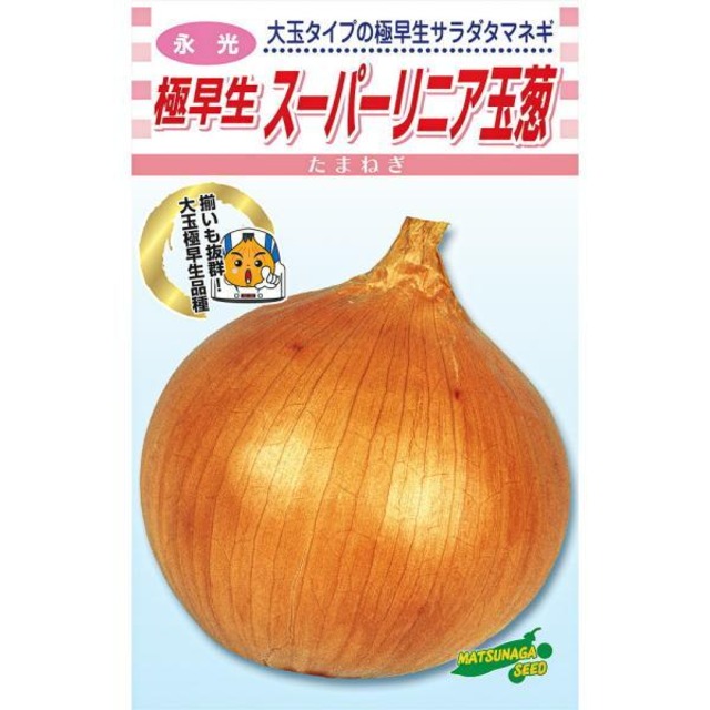 極早生スーパーリニア玉葱