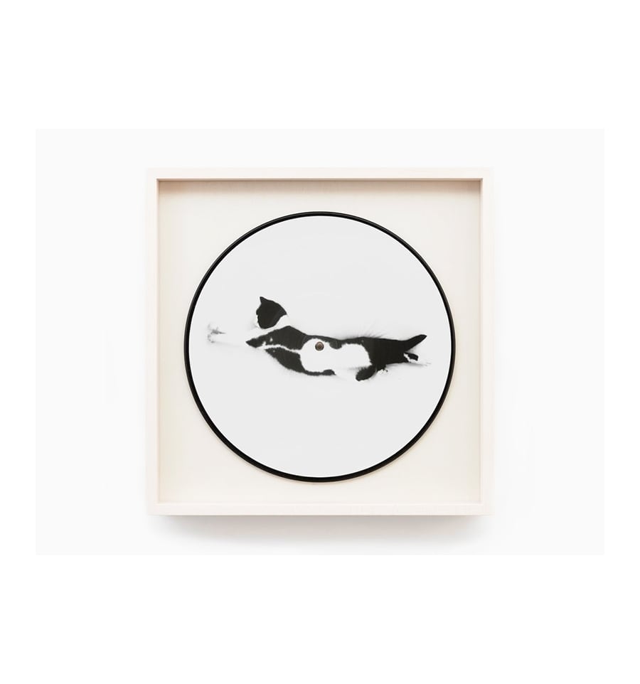 Sophie Calle - Vinyl - Souris Calle Edition | PERROTIN STORE TOKYO