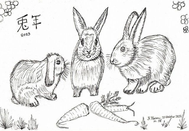 3ラビット | Hallstatt