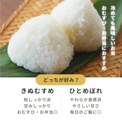 定期便6回｜精米 ひとめぼれ10kg｜4月〜9月お届け｜送料無料（一部地域を除く）