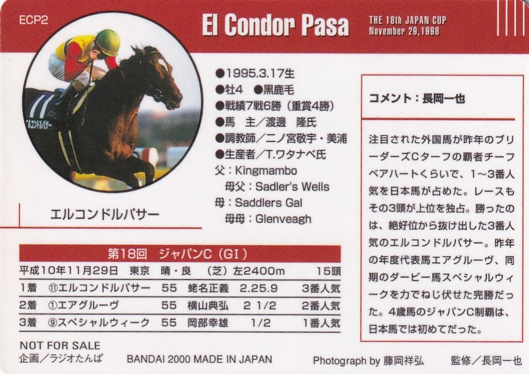 ランクB)エルコンドルパサー：第18回 ジャパンカップ「サラブレッド