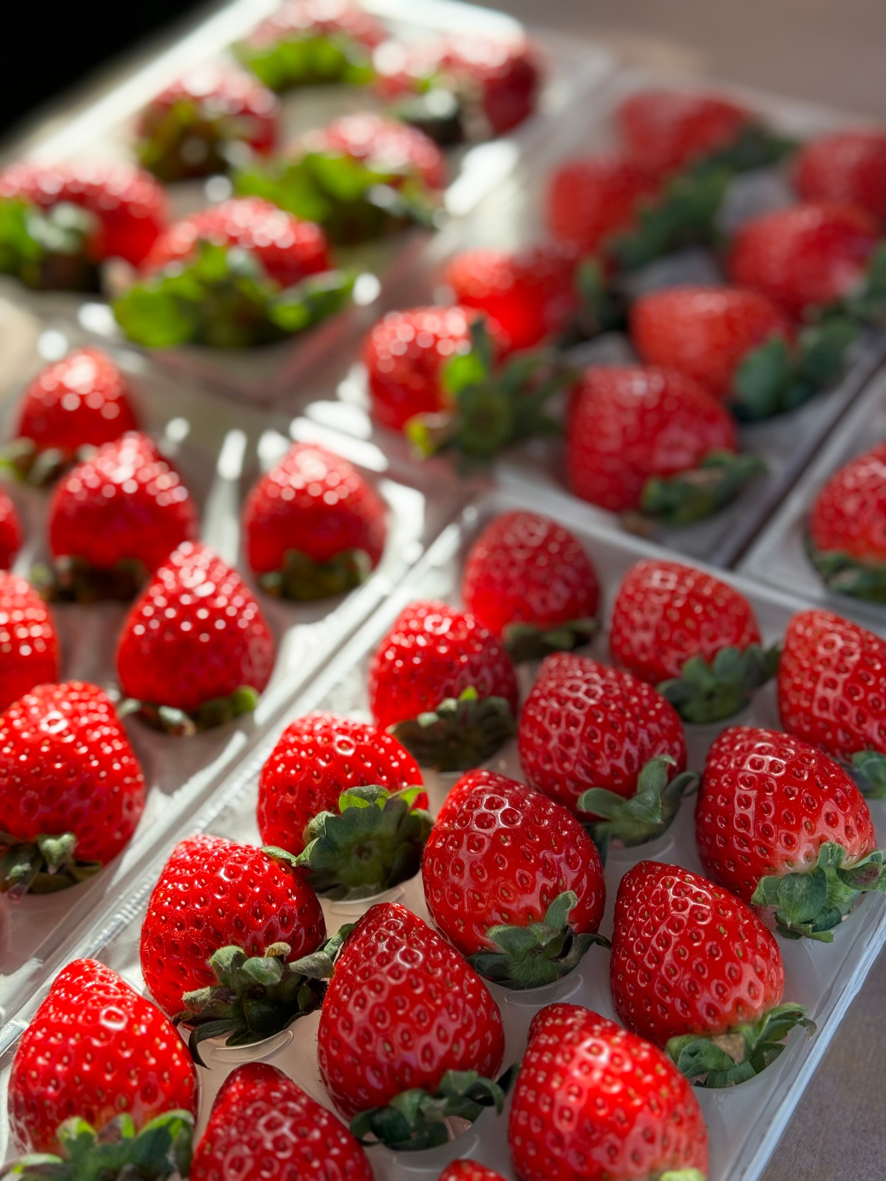 あまりん 新品種「あまりん」 | 秩父のいちご園「和銅農園」