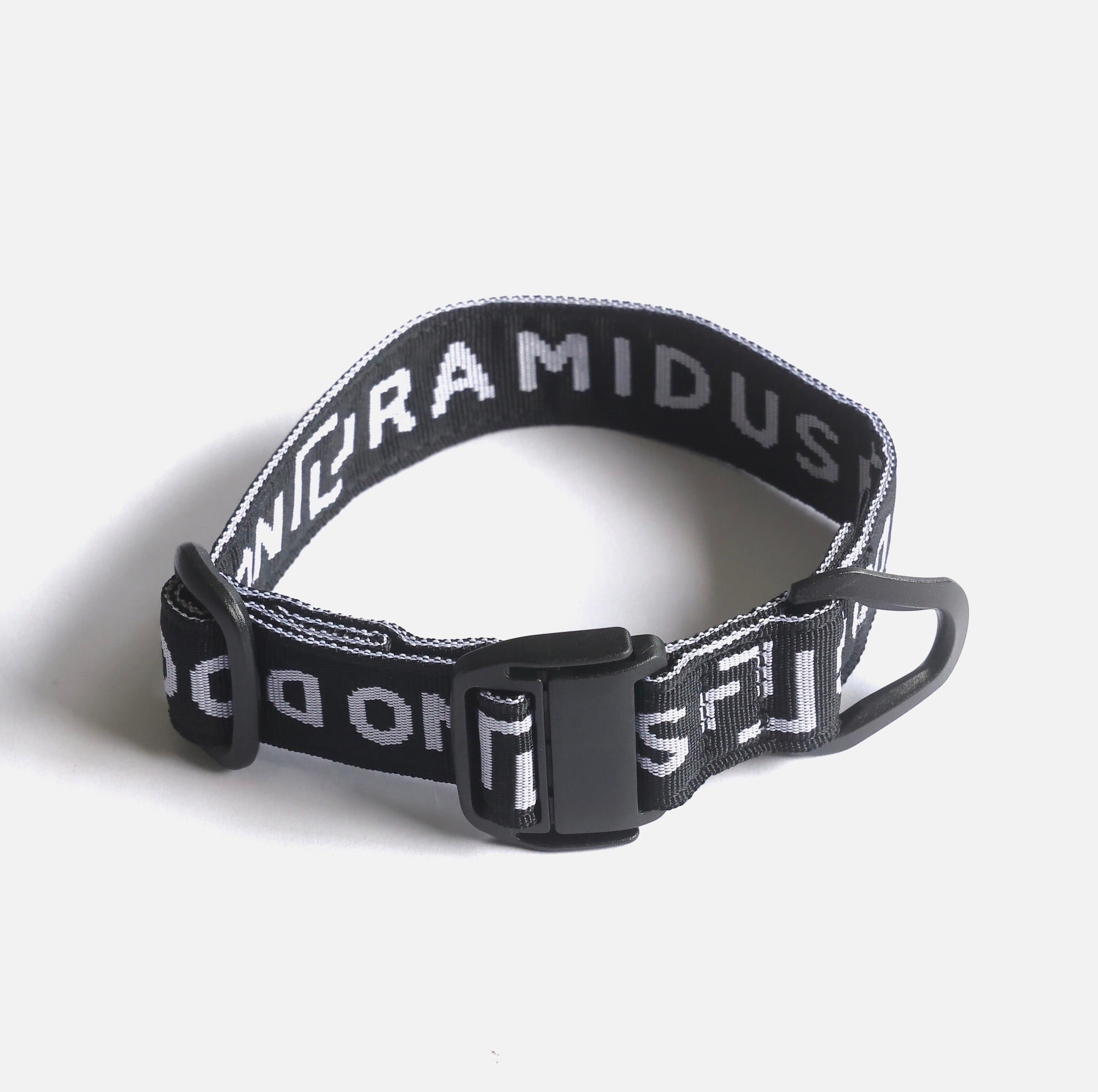 NO DOG × RAMIDUS DOG COLLAR | NO COFFEE