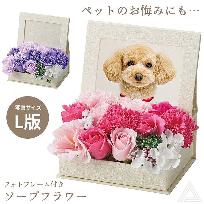 予約：ワイルドフラワー Wildflower 1kg【HTQ】 | PAY ID