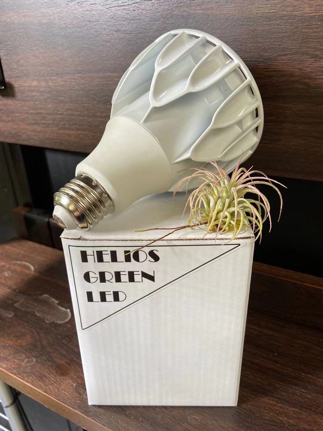 中古 中古 Helios Green LED HG24 BLACK ヘリオスグリーン