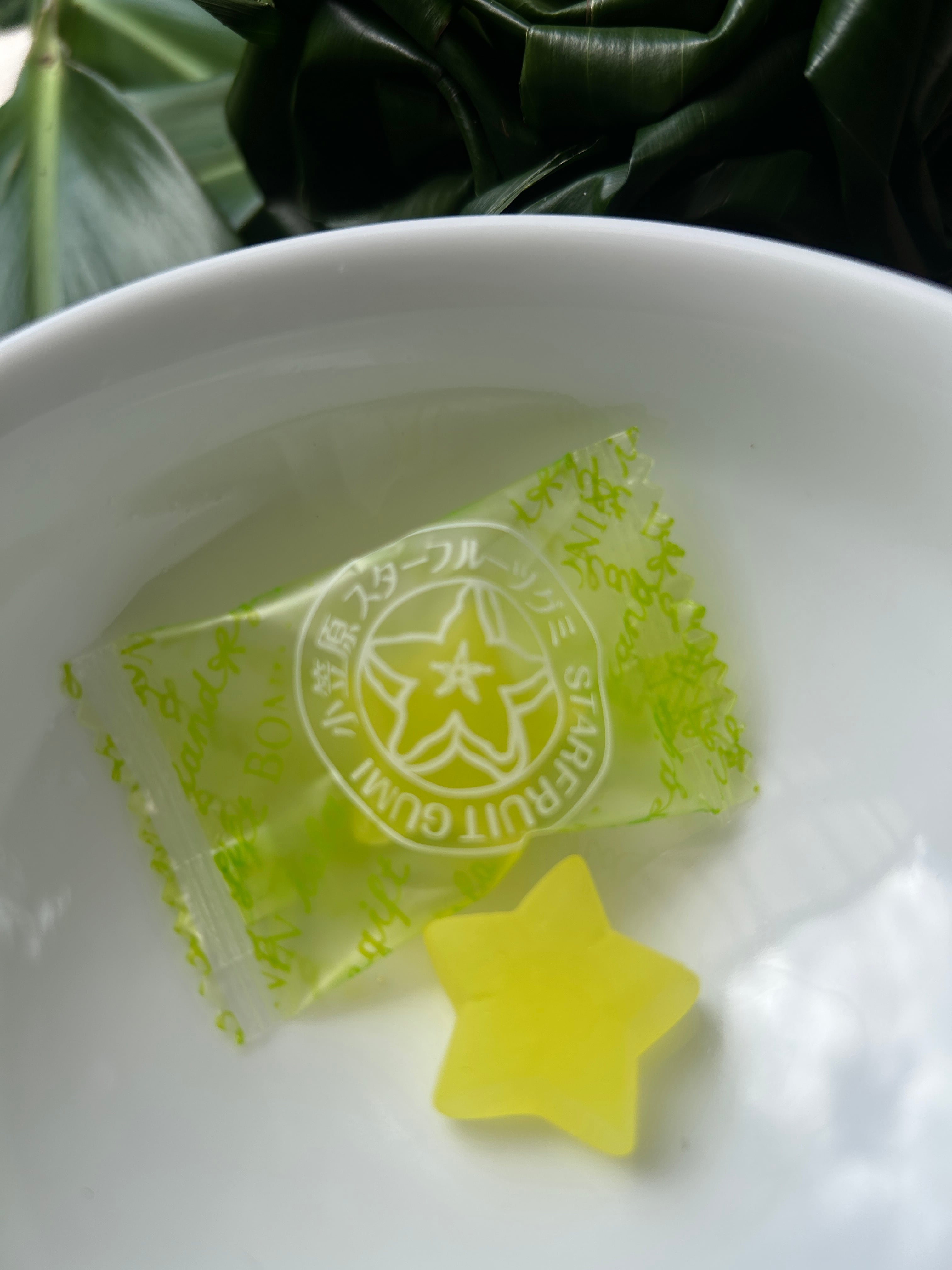 小笠原商品 小笠原フルーツグミ5種 10個入りセット | 小笠原土産のノスリ工房