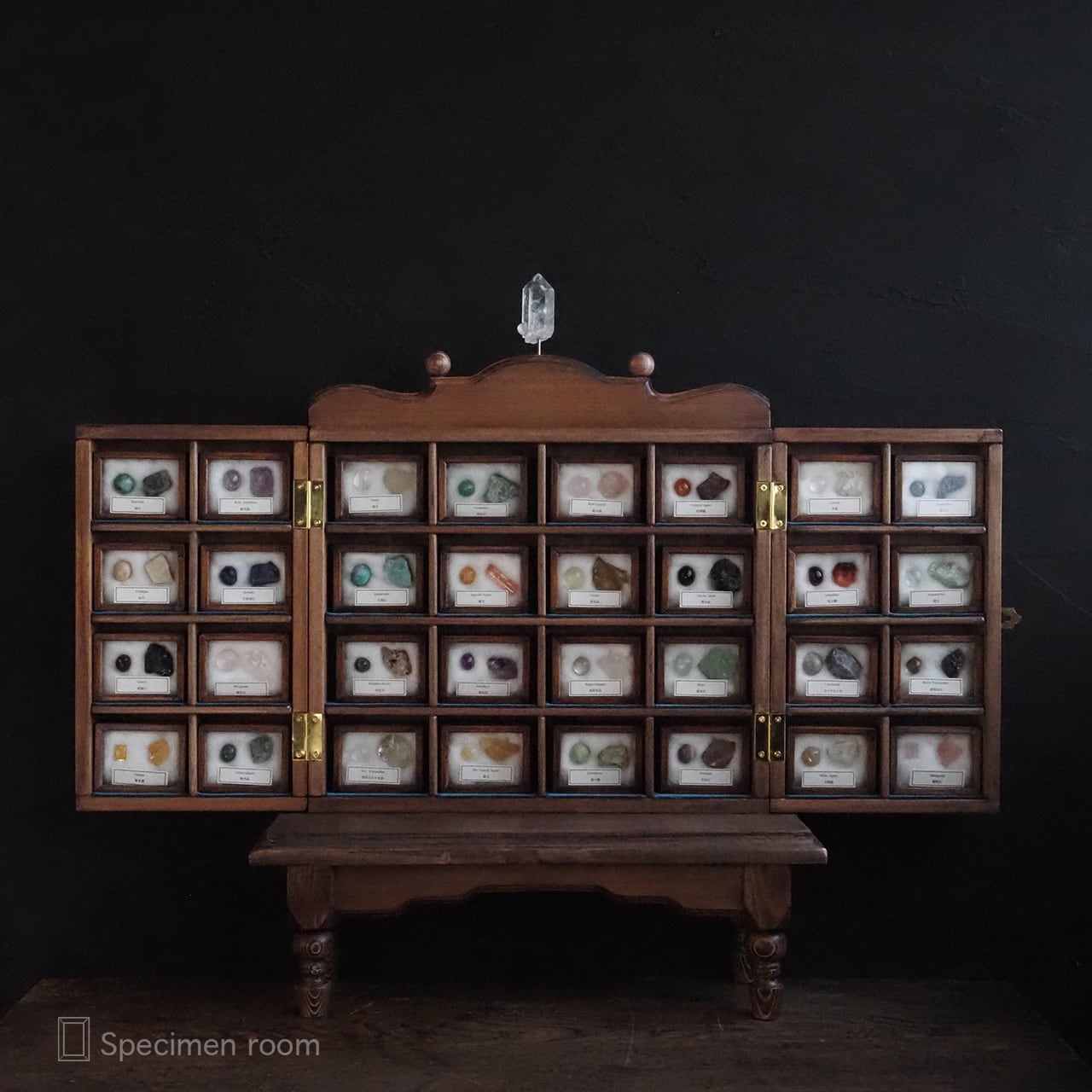 標本部屋を覗く幽霊。