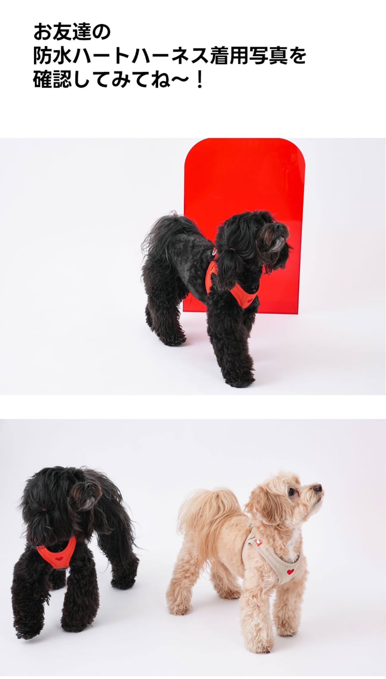 【PUPPYGALLERY公式】オールウェザー防水ハートハーネス L/XL