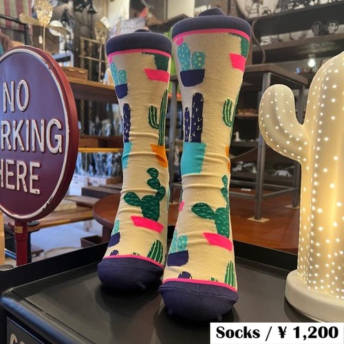 TOPANGA SOCKS Lady's Cactus Socks, Small Gift