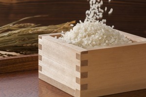 令和元年度【特別栽培米】ゆりはまの頂き「きぬむすめ」 5kg