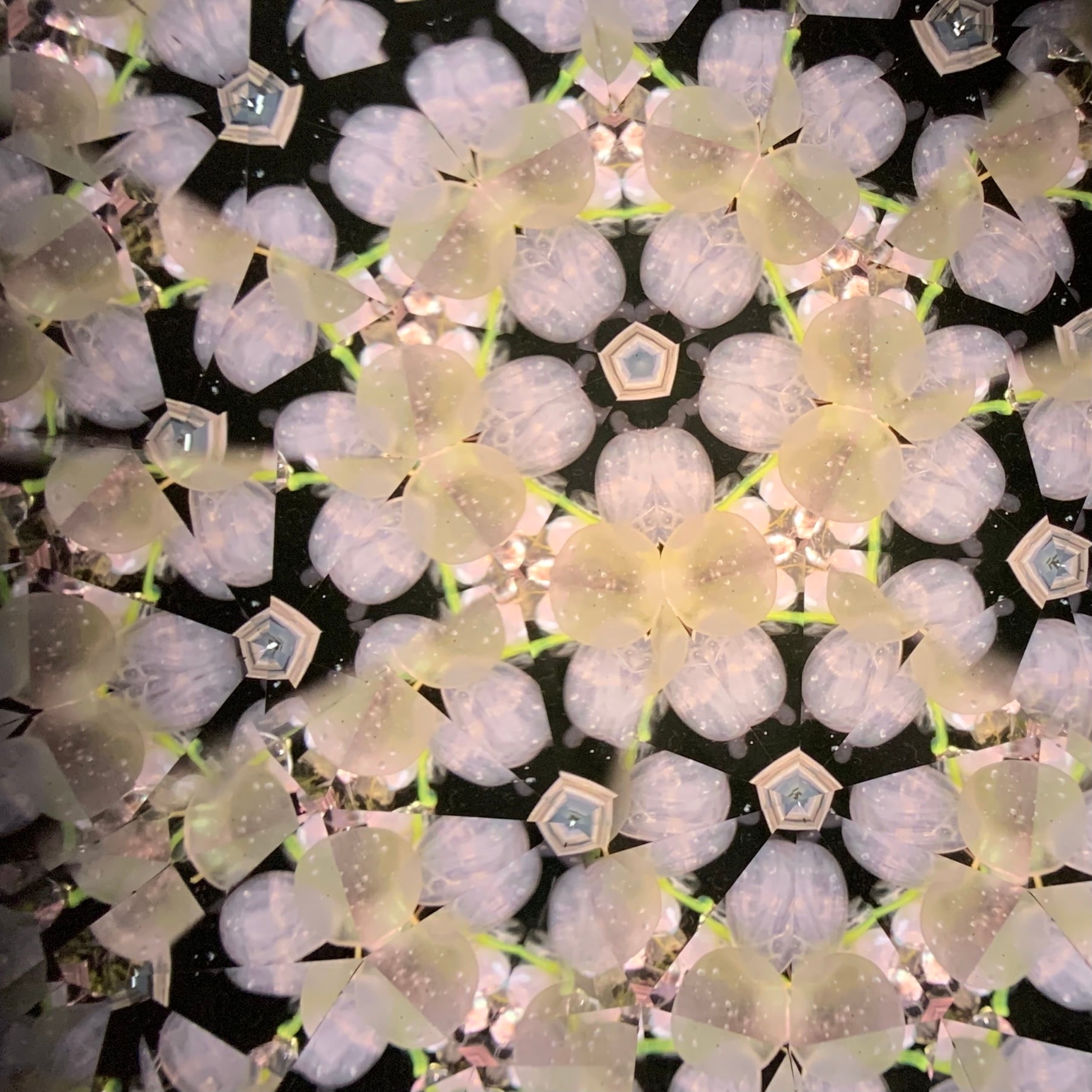 季節の幻想万華鏡 「春宵の桜」 | K-glass/kaleidoscope万華鏡