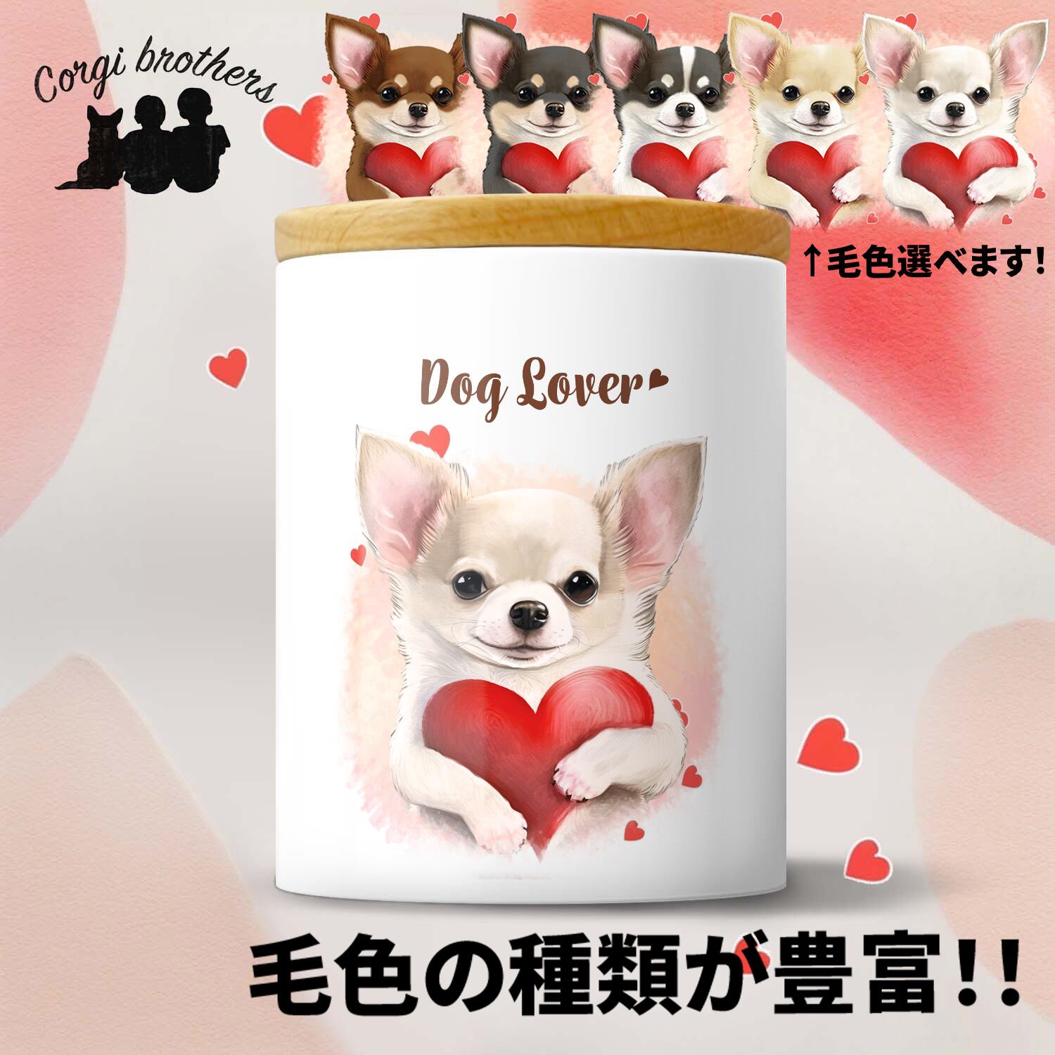 チワワ | Corgibrothers