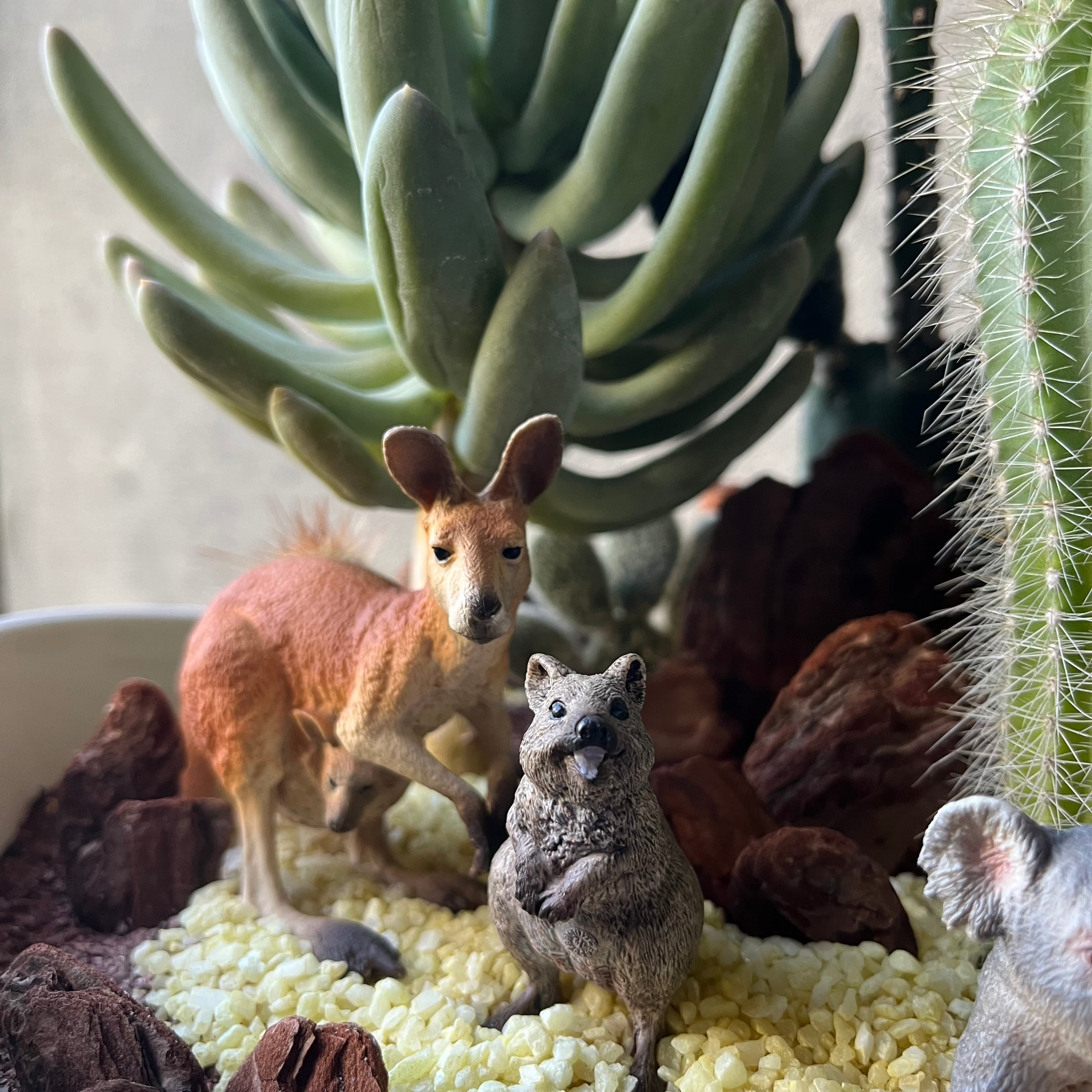 ★最終値下げ マリアンヌ・ウエストマン【KAKTUSシリーズ・サボテン大】 AUSTRALIA ISLANDS | SABOTEN MISSILE