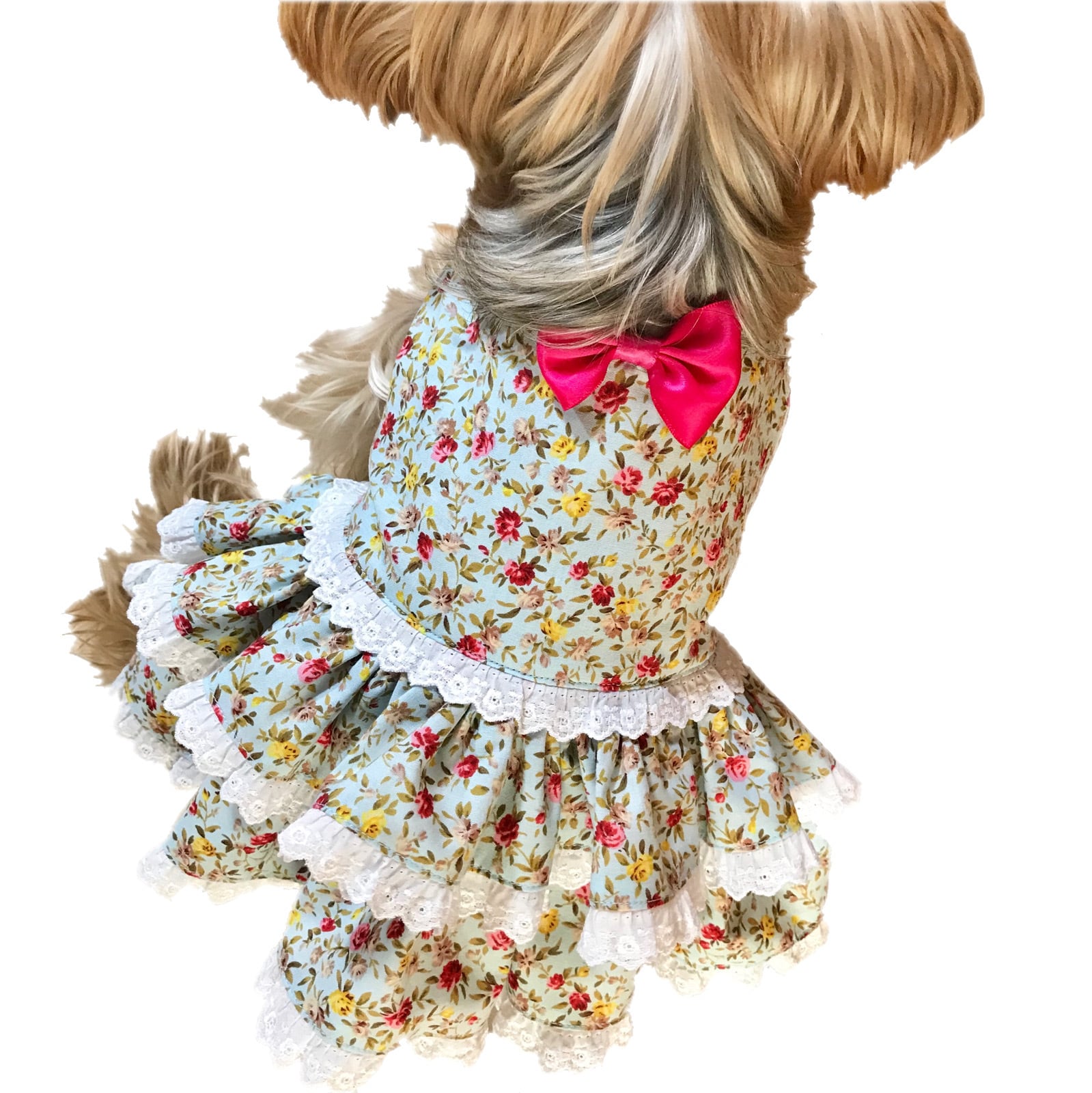 犬服 3号 ワンピース 水色 花柄 白フリル Tony Dog Zakka ハンドメイド犬服と雑貨のお店 犬服 3号 ワンピース 水色 花柄 白フリル Tony Dog Zakka ハンドメイド犬服と雑貨のお店