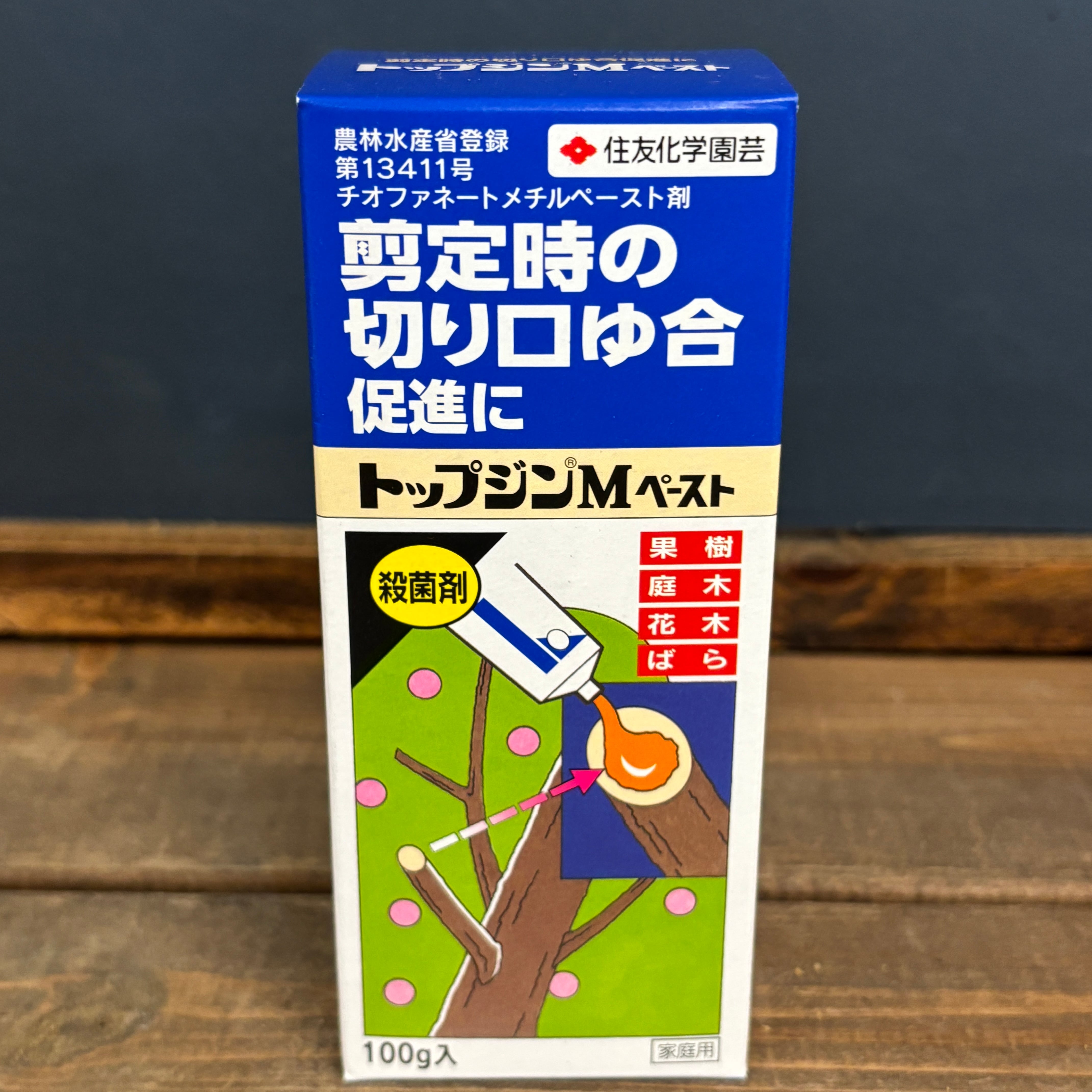 ﾄｯﾌﾟｼﾞﾝMﾍﾟｰｽﾄ 100g | PROTOLEAF プロトリーフ