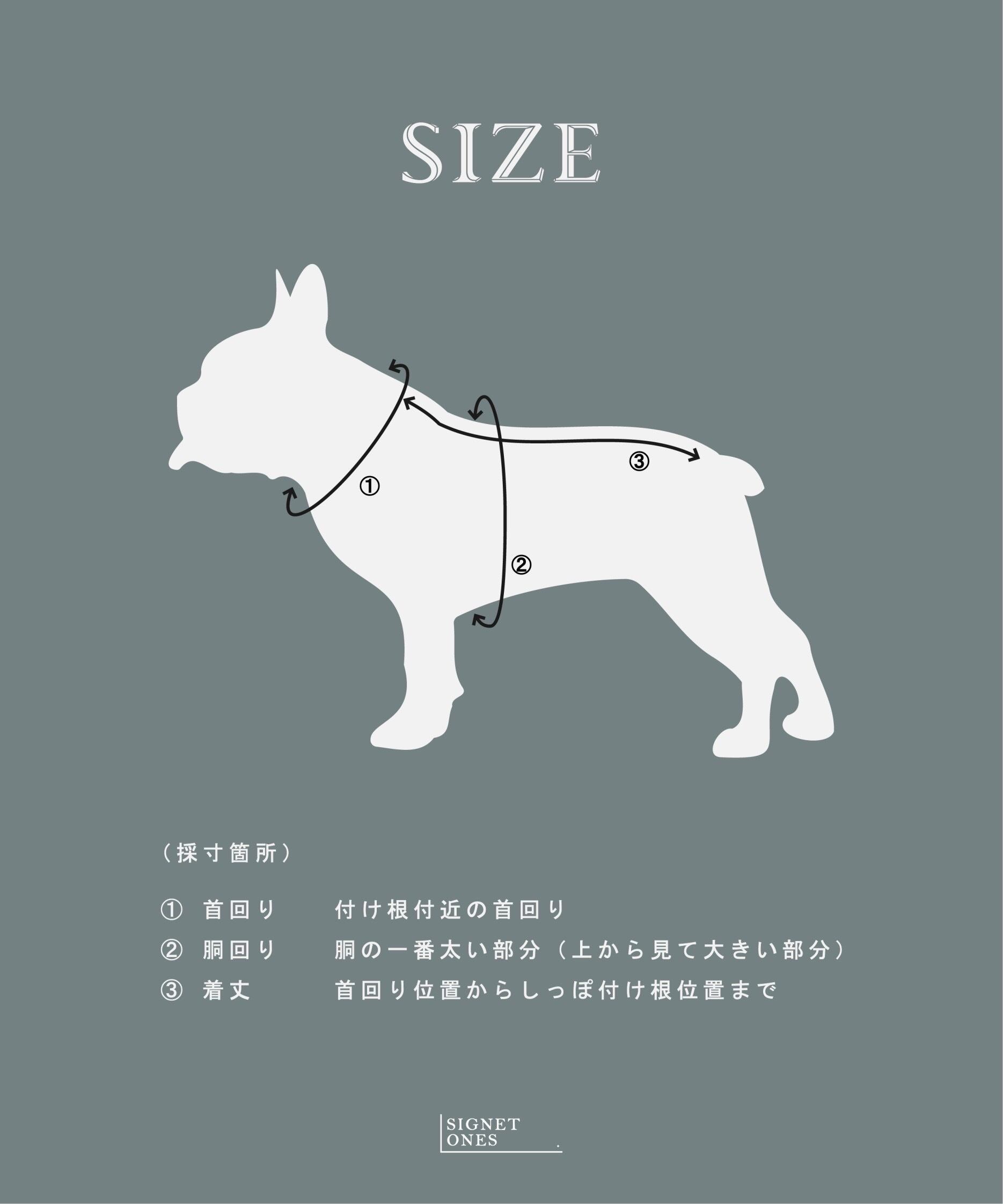 PACK TEE | SIGNETONES