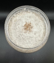 送料無料!!【40本セット】大夢Kカワラ 800cc