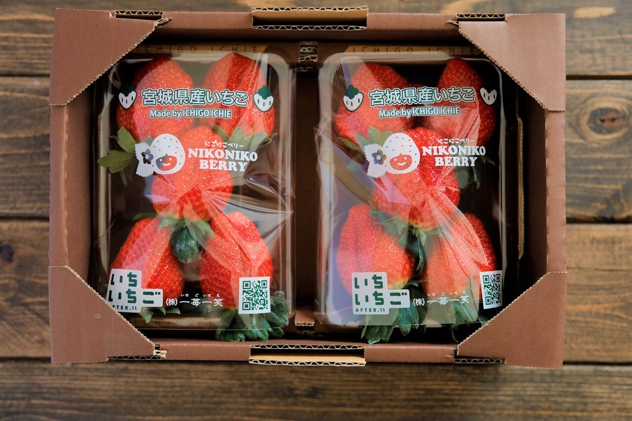 北海道発送】ご自宅用いちご 2パック入り | ichiichigo