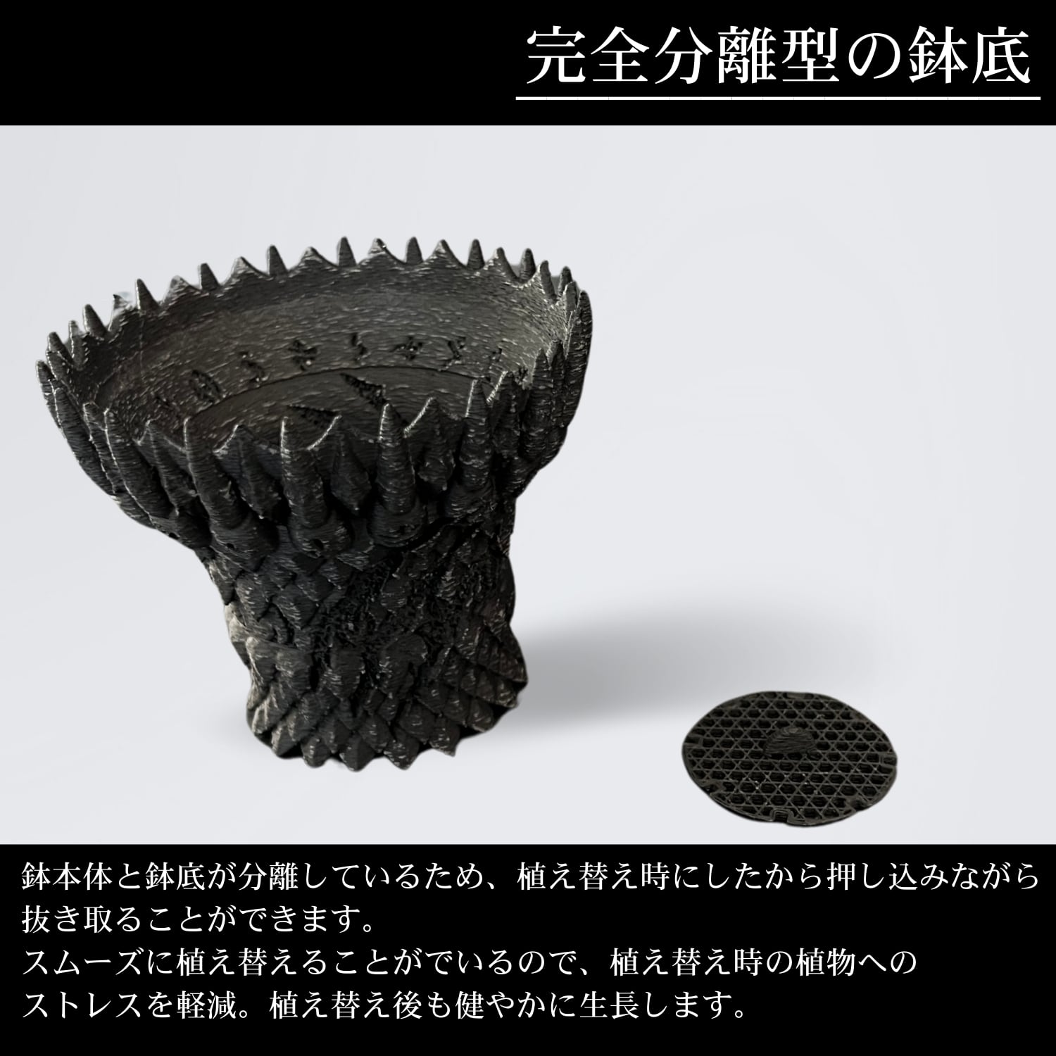 青龍鉢】 (受け皿セット) Tsubakuro SPEC / ツバクロスペック 四聖獣